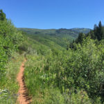 Bowers Gulch Trail