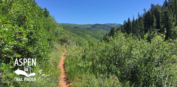 Bowers Gulch Trail