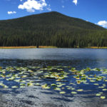 Chapman Lake