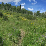 Dinkle Lake Trail