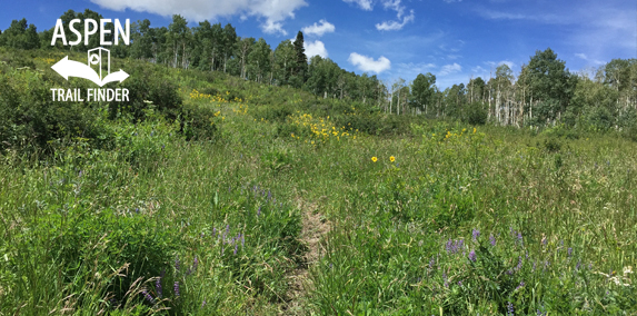 Dinkle Lake Trail