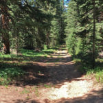 Lenado Trail