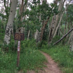 Raggeds Trail