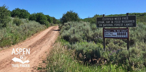 Upper Cattle Creek Road