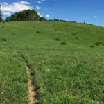 Van Horn Lookout Trail