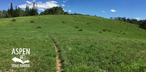 Van Horn Lookout Trail