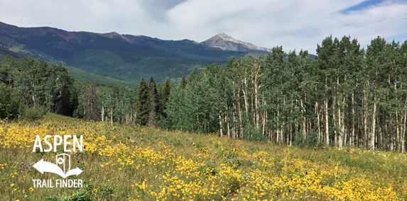 Nickelson Creek Trail 