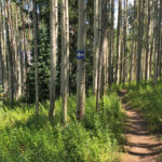 West Buttermilk Trail