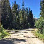 Chapman Gulch Road (FSR #504E)