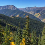 Fall-Colors-in-Aspen-Aspen-Mountain