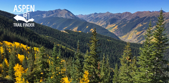 Fall Colors in Aspen