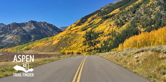 Fall Colors in Aspen