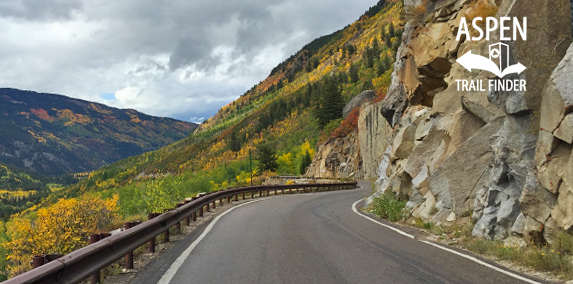 Fall Colors in Aspen