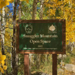 Fall-Colors-in-Aspen-Smuggler-Mountain