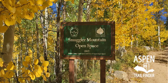 Fall Colors in Aspen