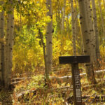 Fall-Colors-in-Basalt-Hay-Park-Trail