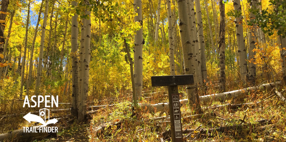 Fall Colors in Basalt