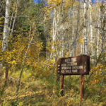 Fall-Colors-in-Basalt-Ruedi-Trail