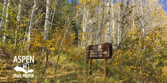 Fall Colors in Basalt