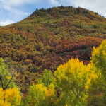 Fall-Colors-in-Basalt-West-Sopris-Creek-Road