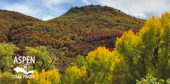 Fall Colors in Basalt