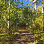 Fall-Colors-in-Carbondale-Marion-Gulch-Trail