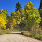 Fall-Colors-in-Glenwood-Four-Mile-Road