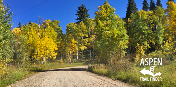 Fall Colors in Glenwood