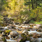 Fall-Colors-in-Glenwood-Grizzly-Creek-Trail