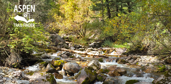 Fall Colors in Glenwood