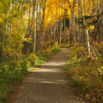 Fall-Colors-in-Snowmass-Owl-Creek-Trail
