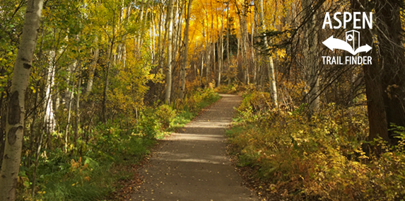 Fall Colors in Snowmass