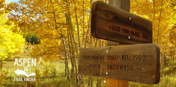 Fall Colors in Snowmass