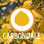 Popular-Places-for-Fall-Colors-in-Carbondale
