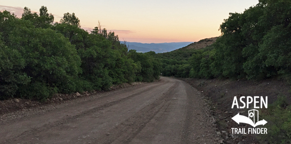 Prince Creek Road