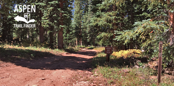 Taylor Creek Road