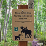 home-sweet-rofo-barking-dog
