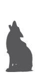 Aspen-Trail-Finder-Wildlife-Coyotes-Icon