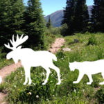 Aspen-Trail-Finder-Wildlife-Icons