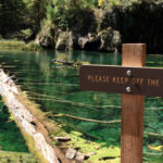 savehanginglake-Please-Keep-Off-The-Log