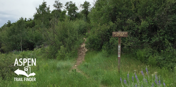 Drift Creek Trail