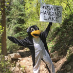 Hanging Lake Penguin