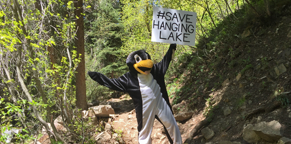 Hanging Lake Penguin