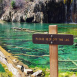 savehanginlakeBSwnleElPpB
