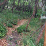 Glassier Equestrian Trail