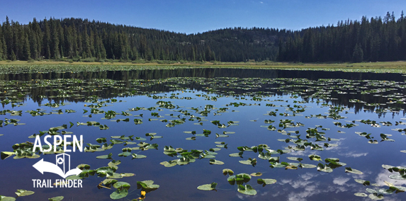 Lily Pad Lake 