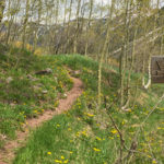 West Maroon Portal Trail