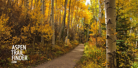 Leaf Peeping