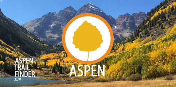 Fall Colors in Aspen