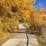 Berm Trail